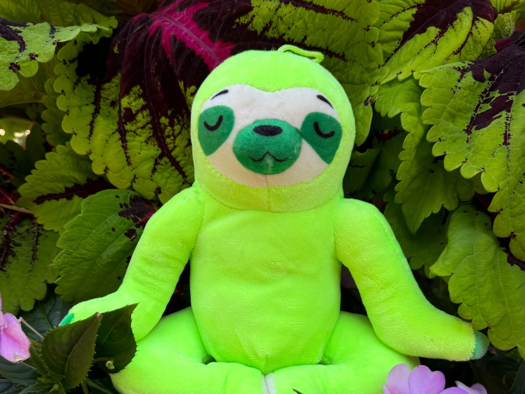 The World Is Going&nbsp;Somewhere